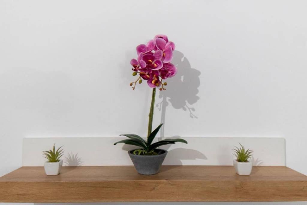 아테네 Brand New Aprt With Backyard In Lycabettus Hill ! 아파트 외부 사진