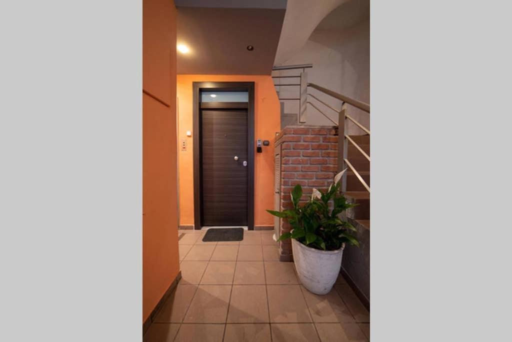 아테네 Brand New Aprt With Backyard In Lycabettus Hill ! 아파트 외부 사진